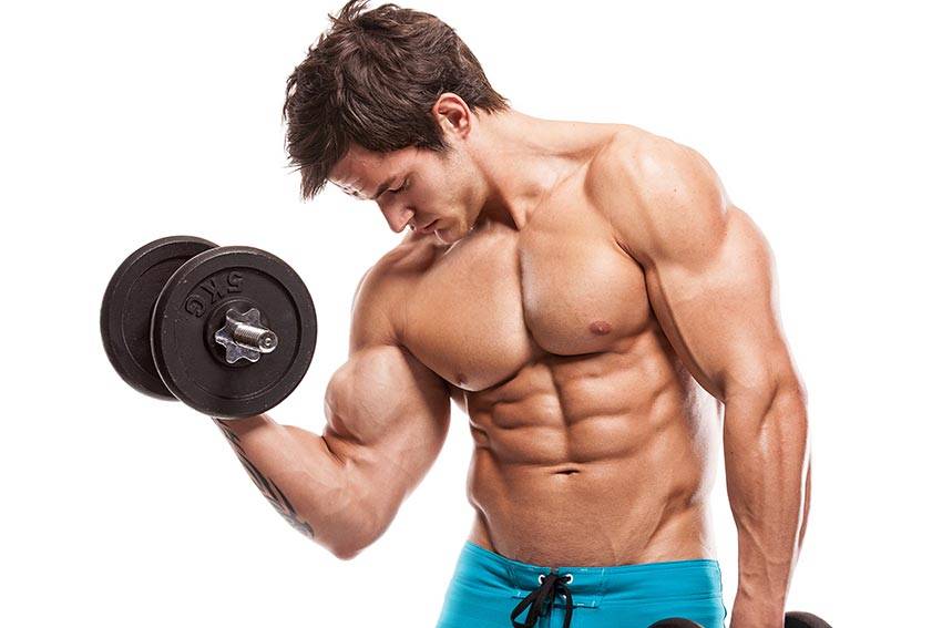 Ganho-de-massa-muscular
